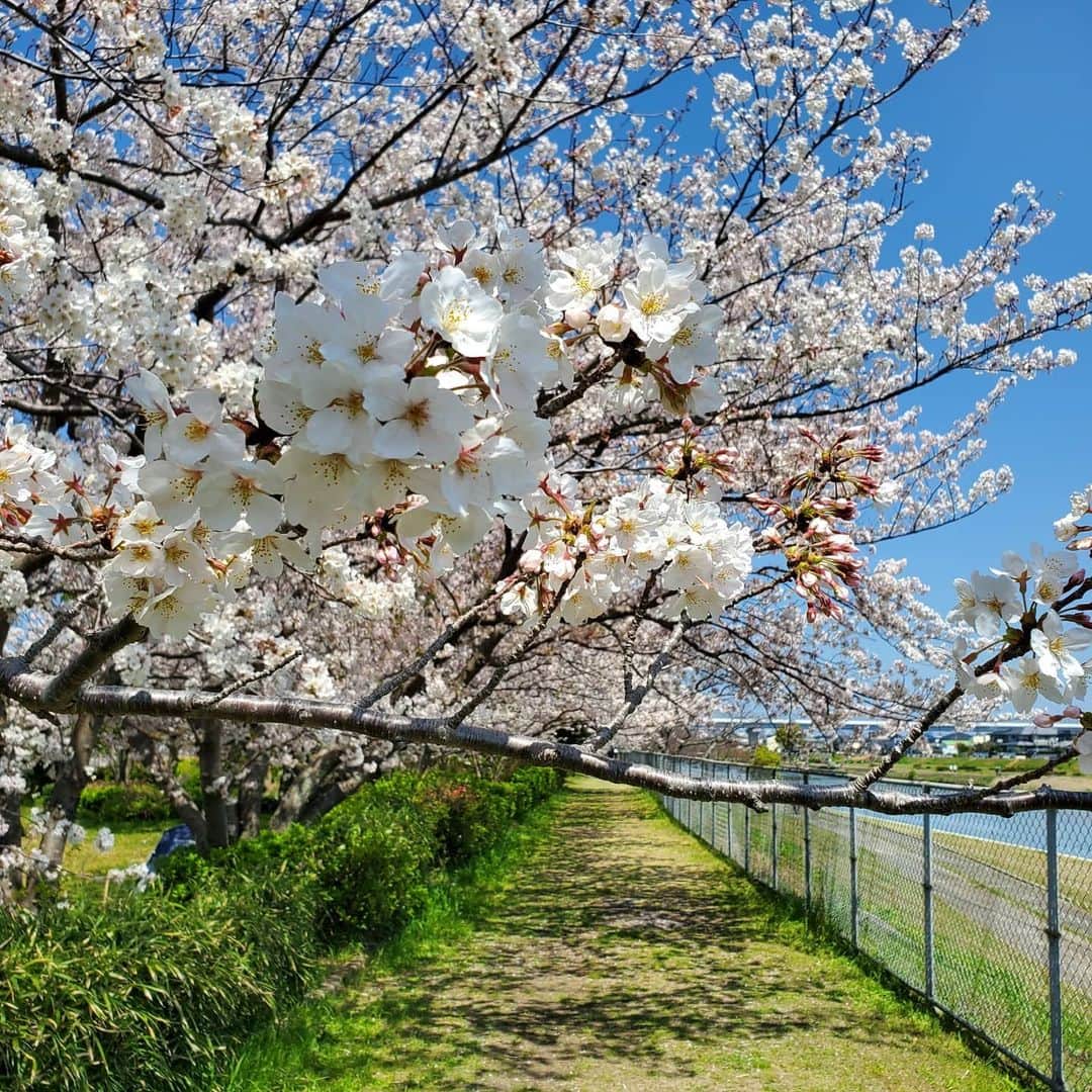 田畑竜介のインスタグラム