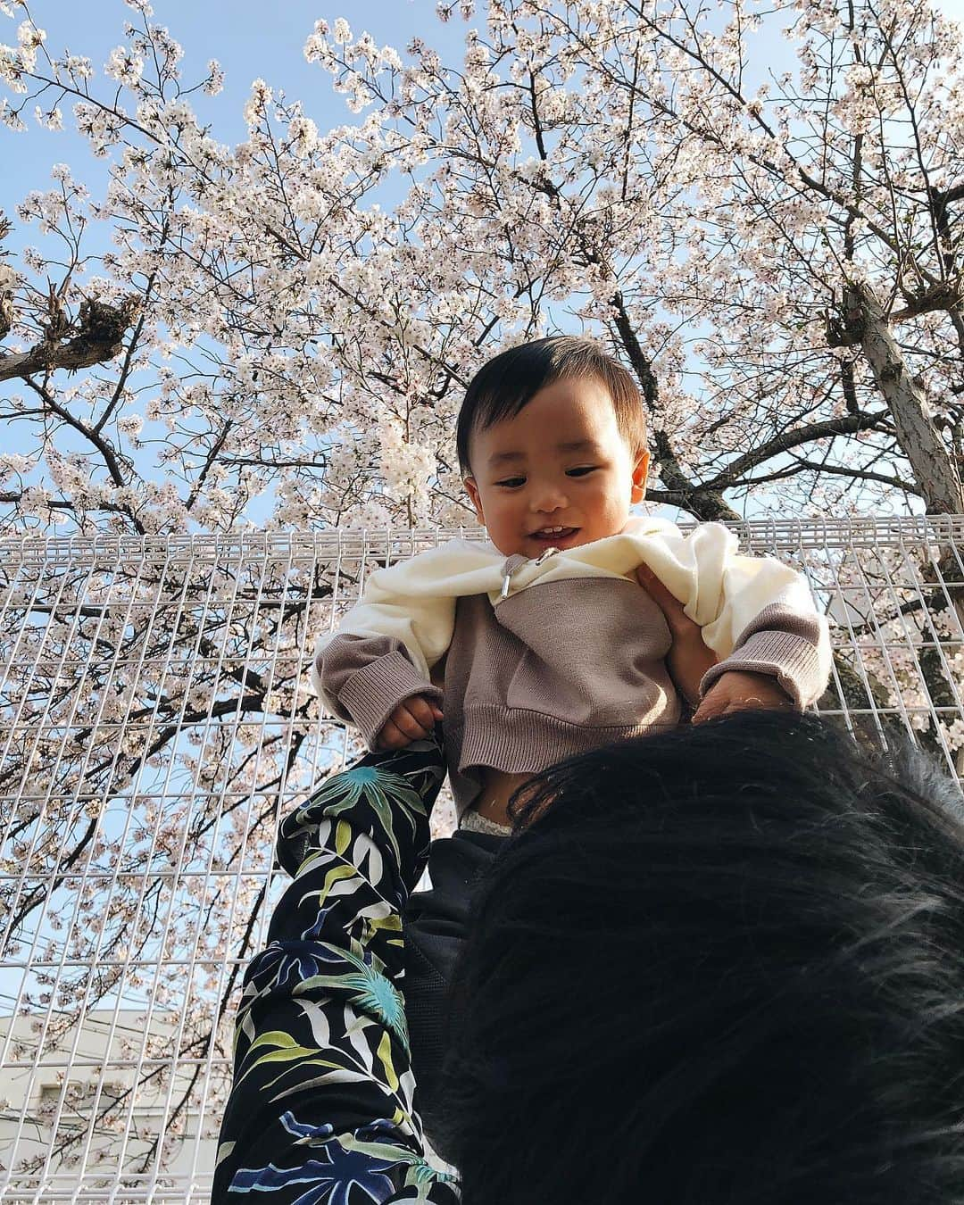 小西翼さんのインスタグラム写真 - (小西翼Instagram)「. お家の前の桜🌸 嬉しかったなぁ。 👦🏻に見せれたのが嬉しい！ . #桜#花見したかったね #stayhome#家の敷地内 #堪能しよう」4月4日 23時27分 - tucha_k