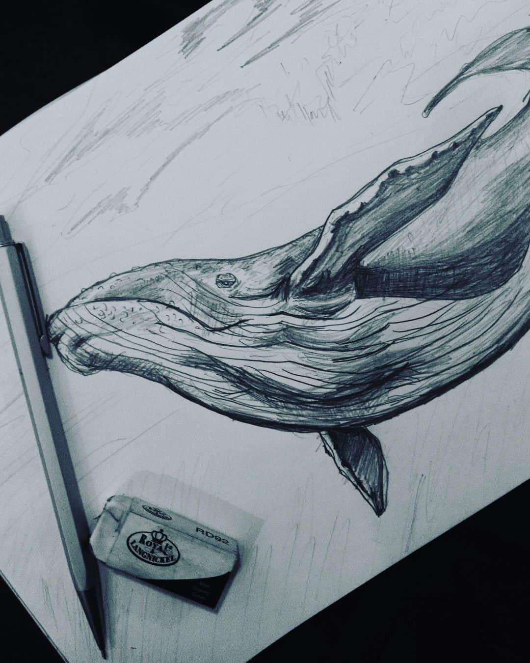 有働真帆さんのインスタグラム写真 - (有働真帆Instagram)「I’m gonna swim with them one day🐋🐳 #drawing #stayhome #humpbackwhale」4月4日 18時10分 - maho_udo