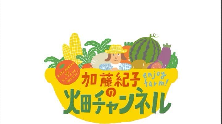 加藤紀子のインスタグラム：「本日18時より 加藤紀子のYouTube 『加藤紀子畑チャンネル』 配信スタートします！  普段の野菜作りや畑での作業、はたまた季節ごとの野菜料理など、私らしくご紹介して行けたらなぁ…なんて。 「あ、なんかカトノリ農園に遊びに来たみたい！」とのんびり楽しんで頂けたら嬉しいです。  リンクはプロフィールに！！土や野菜、風を感じに来てください😊  ちなみに番組ロゴは 鹿児島在住の大好きなイラストレーター江夏潤一君によるもの。 畑のご家族や畑メイトさん、そして携わってくださる多くの大切な人に支えられてこのチャンネルがスタート出来ることを心から幸せに感じます。  #加藤紀子畑チャンネル #カトノリ農園」
