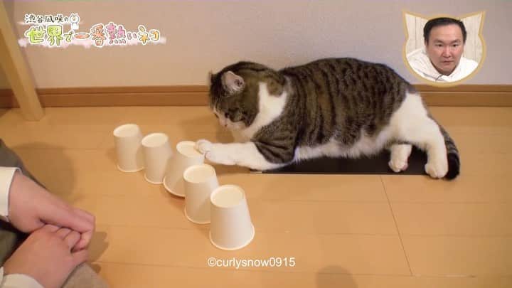スノーのインスタグラム
