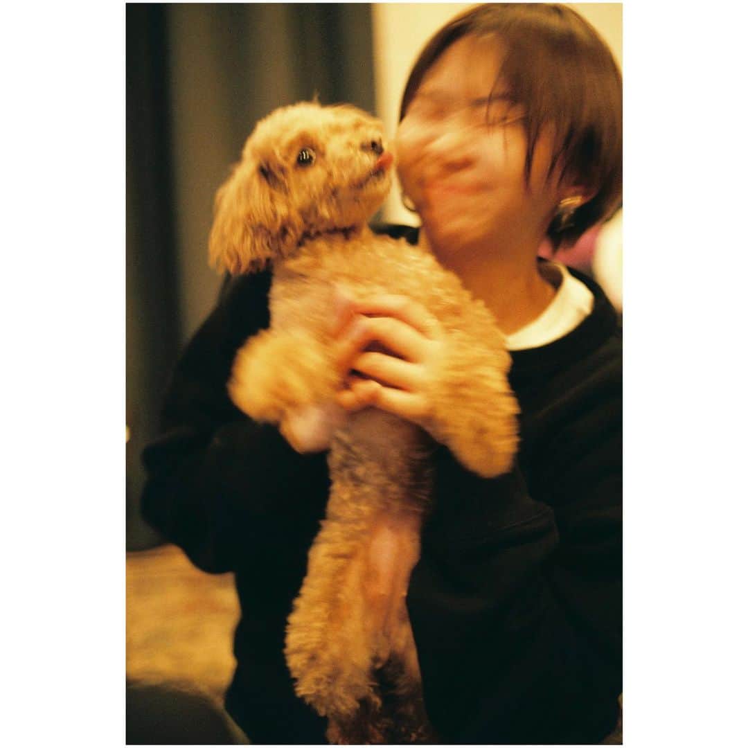 小口桃子さんのインスタグラム写真 - (小口桃子Instagram)「犬さん爆盛れ写真館🐶﻿ ﻿ ﻿ ﻿ #camera#filmcamera#filmphotography#film#fujifilm100#フィルムカメラ#フィルム﻿」4月4日 19時00分 - momoko_oguchi