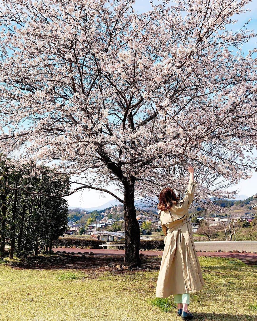 E.Mさんのインスタグラム写真 - (E.MInstagram)「地元で🌸  . . . . #春#桜#お花見 #instagood#🌸」4月4日 19時08分 - ern_mtm