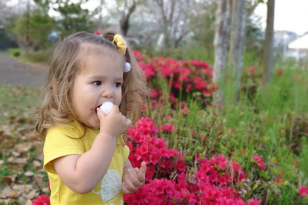 ピーチフラワーさんのインスタグラム写真 - (ピーチフラワーInstagram)「· · 夕方、近くの公園の鯉に餌をあげに行ってきました。 · 腹ペコの鯉たちが落ち着いたところで、ガールズはおにぎりタイム🍙 · 白米おにぎりに目がないYukiはおにぎりはおにぎりだけ、海苔は海苔だけで食べる派です😁 · Hanaのポケットからチラッと見えてるのはキューピーちゃん😊 · 広島に住んでいた時の隣のおじさんがくれたキューピーちゃん💕いつもお風呂に一緒に入ってます🛀 · 和歌山のYouTubeランドに梅干しを頂いて以来、おにぎりは梅干し派のMomoとHanaは、今日のおにぎりも紀州の梅干し入りです✨ · 6枚目のMomoとダディの2ショット😖 · Momoが気に入って投稿したいと言うので…おまけです。 · ガールズだけみたい方は5枚目まででストップしてください😁 · · #おにぎり大好き  #カープ大好き  #宮崎県  #今から動画upします! #ピーチフラワー」4月4日 19時53分 - peachflower_jp