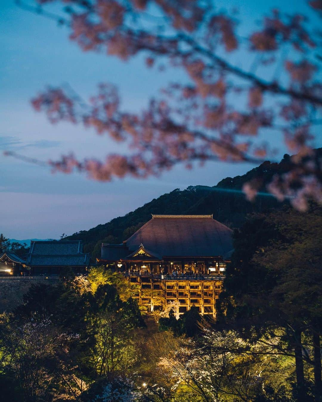 清水寺さんのインスタグラム写真 - (清水寺Instagram)「2020.4.3」4月4日 20時08分 - feel_kiyomizudera