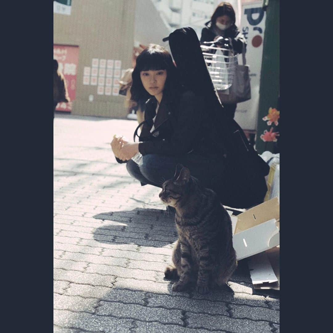 小向なるさんのインスタグラム写真 - (小向なるInstagram)「. 穏やかなあの日。 . . photo by 齋藤美咲 . . . . #猫 #ゆったり #のんびり #あったかいきもち」4月4日 20時21分 - naru.komkai