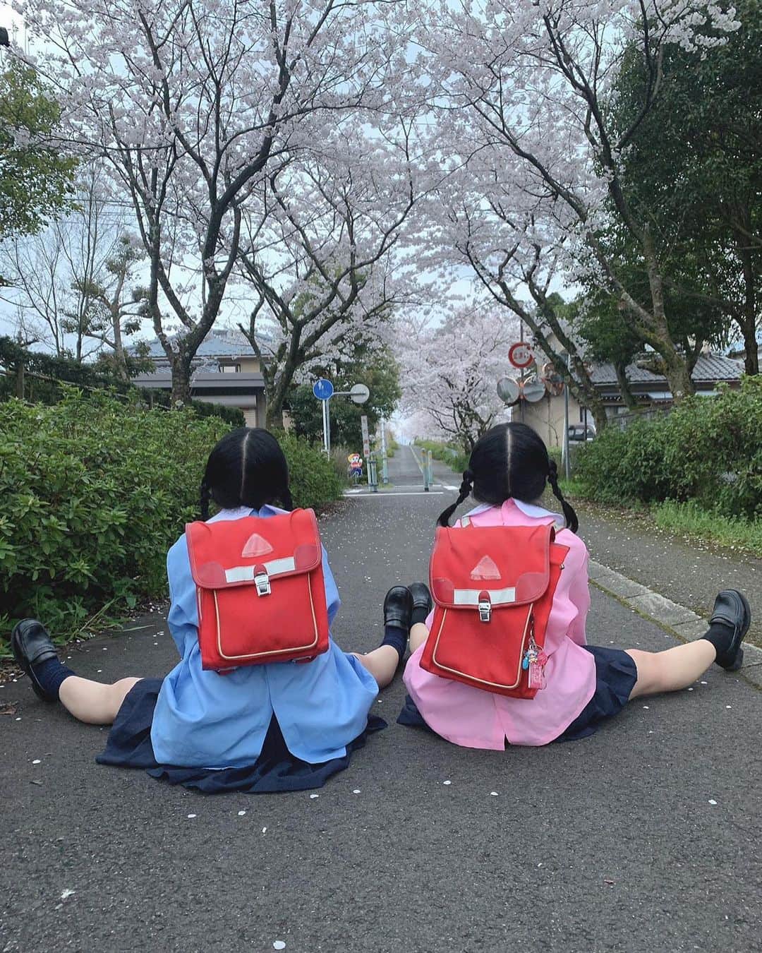 くにくにさんのインスタグラム写真 - (くにくにInstagram)「・ ・ ☆゜+.*.+゜☆゜+.*.+゜☆゜+.*.+ ・ ・ 📛幼稚園児と桜🌸 ・ ・ ☆゜+.*.+゜☆゜+.*.+゜☆゜+.*.+ ・ ・ #くにくに #双子 #ツインズ #黒髪 #アイドル #IDOL #JAPAN #福井 #ファッション #twins #KUNIKUNI #ootd #twinsfashion #코디 #패션 #cute  #幼稚園児#桜#ピンクと水色 #福井県#鯖江市」4月4日 21時29分 - kunikakuniho