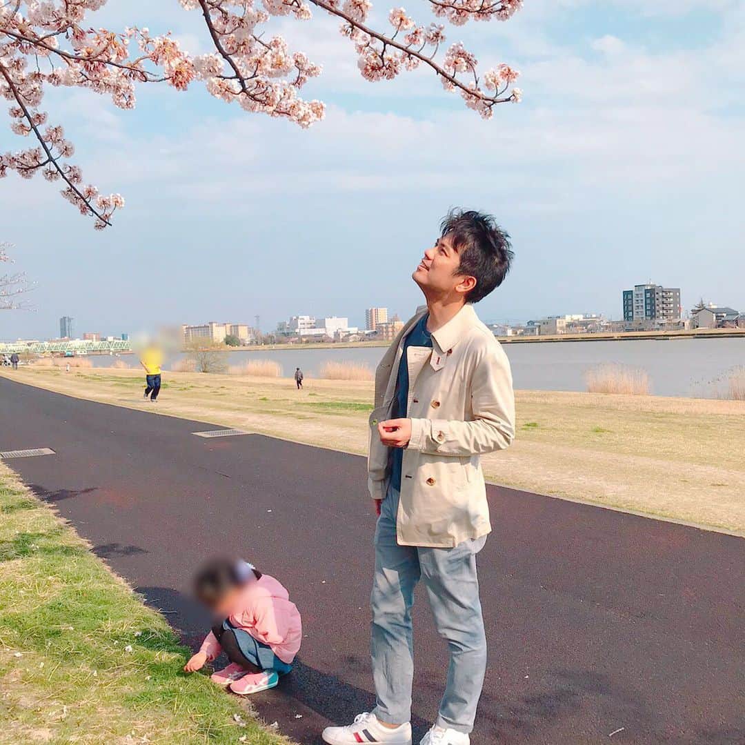坂部友宏さんのインスタグラム写真 - (坂部友宏Instagram)「暖かい1日✨  用事ついでに、やすらぎ堤へ。 新潟市の桜の名所の1つ。 遊歩道を少し歩く。  桜は満開には、まだもう少しかなという感じ。 ただ、言わずもがなの存在感！ 桜と青空は最高にお似合い。  娘2人は、 桜より、四つ葉のクローバー探し... ものすごく熱心💧  盛大な花見じゃなくても、 予期せずにちょっと視界に入る桜は、得した気分ですよね。  今年は..."ついで桜"です🌸🌸🌸 #やすらぎ堤 #四つ葉のクローバーどころか #六つ葉のクローバー見つけたって #騒いでいたが果たして  #坂部友宏 #BSNニュースゆうなび #桜」4月4日 21時39分 - t_sakabe_bsn