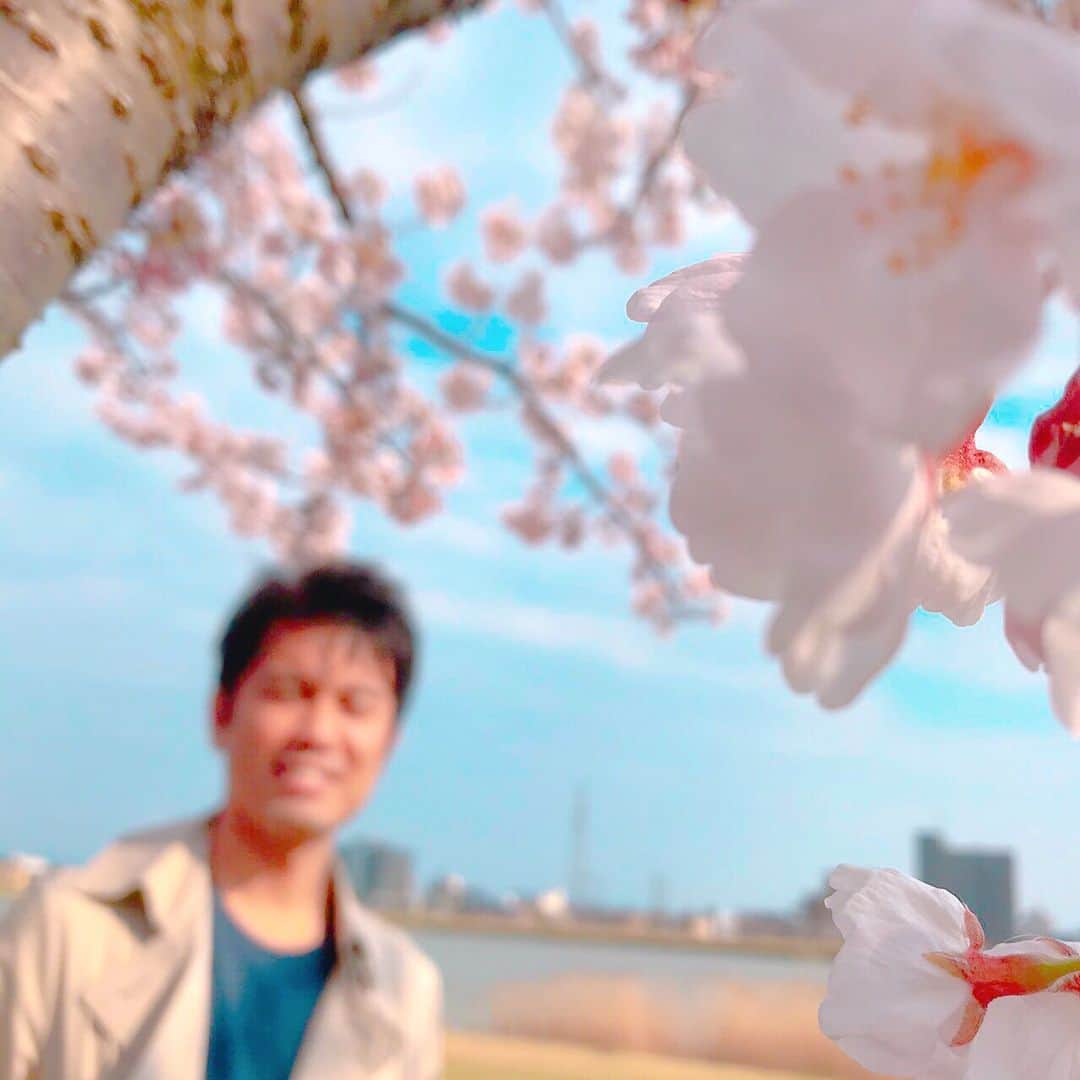 坂部友宏さんのインスタグラム写真 - (坂部友宏Instagram)「暖かい1日✨  用事ついでに、やすらぎ堤へ。 新潟市の桜の名所の1つ。 遊歩道を少し歩く。  桜は満開には、まだもう少しかなという感じ。 ただ、言わずもがなの存在感！ 桜と青空は最高にお似合い。  娘2人は、 桜より、四つ葉のクローバー探し... ものすごく熱心💧  盛大な花見じゃなくても、 予期せずにちょっと視界に入る桜は、得した気分ですよね。  今年は..."ついで桜"です🌸🌸🌸 #やすらぎ堤 #四つ葉のクローバーどころか #六つ葉のクローバー見つけたって #騒いでいたが果たして  #坂部友宏 #BSNニュースゆうなび #桜」4月4日 21時39分 - t_sakabe_bsn