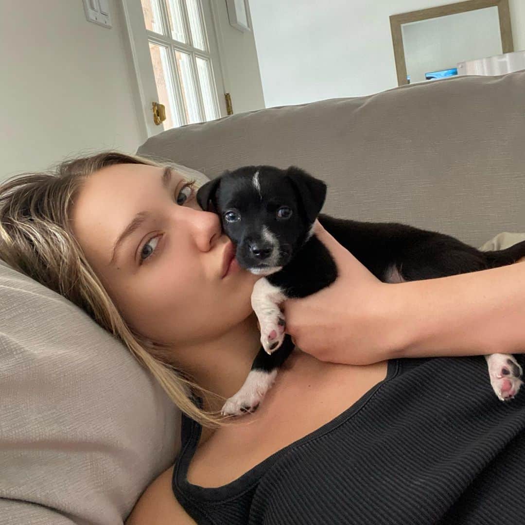 マディー・ジーグラーさんのインスタグラム写真 - (マディー・ジーグラーInstagram)「fostering this beautiful baby boy. in love with him 🖤😭 @thelabellefoundation」4月5日 7時33分 - maddieziegler