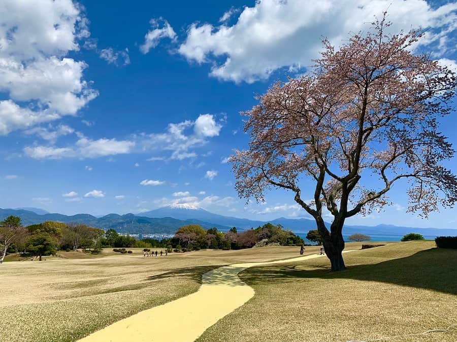 のインスタグラム：「少し前に、#日本平ホテル がこの時期の 子供達のために開放している園庭へ 行ってきました🌿🌷 日々悩まされてる事を忘れるような 気持ちの良い空間☺️ 良心的な値段で食事の提供もあって、 娘はホテルメイドのカレーを豪快に 頬張っていました😂🍚 . . . #庭園  #日本庭園  #絶景  #絶景スポット  #日本の絶景  #日本平ホテル  #ホテルメイド  #絶賛いやいや期  #japanesehotel #nippondairahotel #nippondaira #japaneseseries @nippondaira.hotel.eventteam @nippondaira_recruiting」