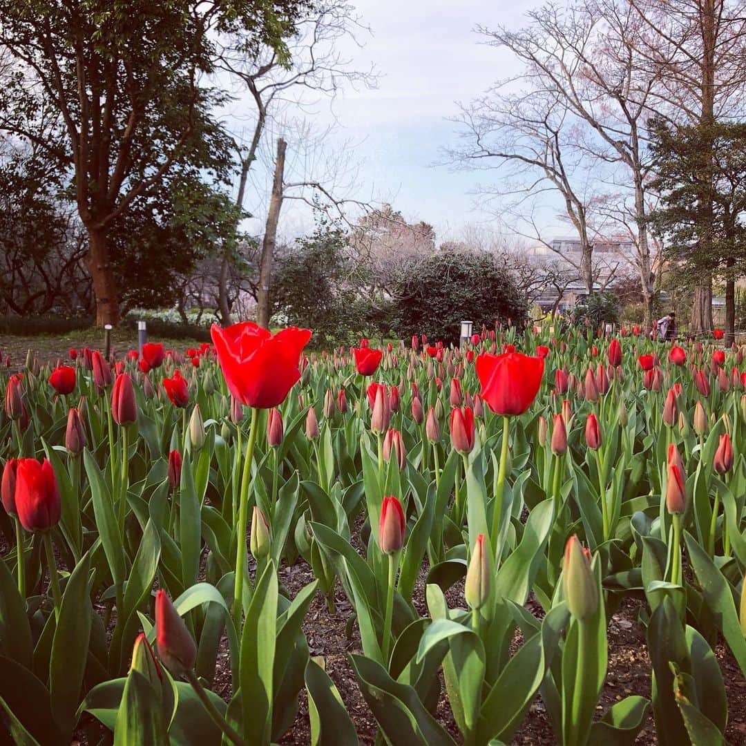 HIROSHIのインスタグラム：「ほんまにあっと言う間に1年過ぎてもうた。 去年の今日は嘘やと思いながら北海道からメンバー5人で顔を見に行った。 早いな。 元気か? 全然心配してないで。 そっちでもめっちゃボケまくったりつっこんだり呑みまくったり笑いまくってるんやろな。 想像できるわ。 やっぱりあんたはそうでないとね♪ 一緒に咲き乱れよう。 これからも宜しく。」