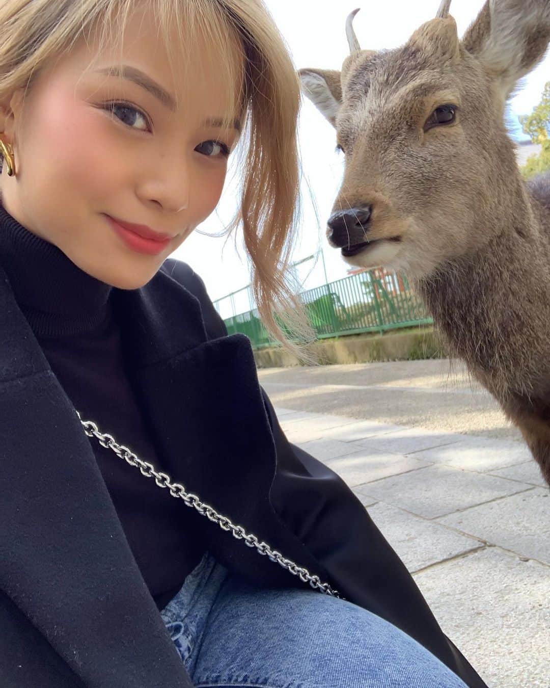 Yukiさんのインスタグラム写真 - (YukiInstagram)「Just about one hour away from Kyoto (by train), there is a lovely park called 奈良公園 (Nara Koen). Wild deer roam freely around the area and there's "deer crackers" for sale in little stands. To my surprise, some deer had bowed to me for the crackers. I'll upload a vlog soon on my Youtube so stay tuned. ❤️⁠⠀ ⁠⠀ Whenever the Covid situation is over and you plan to travel to Japan, I highly recommend traveling to Kyoto and Nara for this truly unique experience. #奈良公園 #NaraPark ⁠⠀ -⁠⠀ -⁠⠀ -⁠⠀ -⁠⠀ -⁠⠀ -#japan #travel #日本 #travelgram #nara #travelling #trip #kawaii #京都  #wildlife #nature #buck #animals #animalsofinstagram #animalsanctuary#deer #deerpark #narajapan  #animalsofig #japanese #animalslover #wild #animalsaddict #animalsareawesome #travelblogger #lablogger #asianblogger #beautyblogger」4月5日 8時27分 - yukibomb