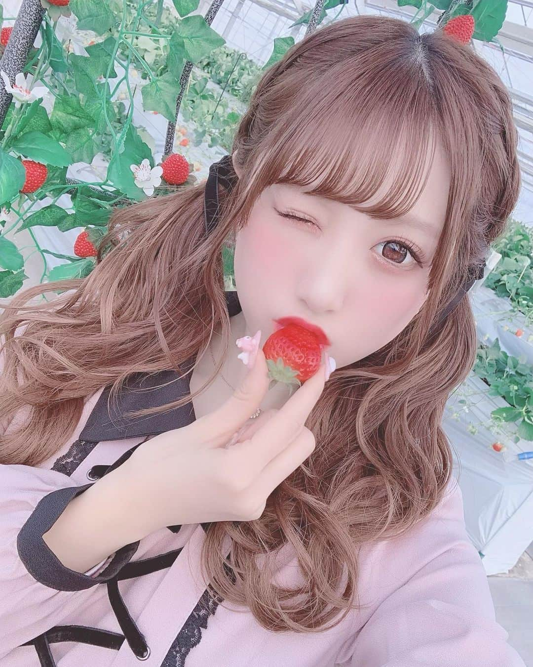 田口未彩さんのインスタグラム写真 - (田口未彩Instagram)「🎀 . . まだ載せてない写真掘り出してきた🍓 明日は久々にメイクでもしてみようかなて気持ち！ どこもいかないけど！ . いちご食べたいよおおお . . . #いちごタウン　#越谷いちごタウン　#いちご狩り　#いちご　#ロジータ　#ツインテール　#編み込みツインテール　#ヘアアレンジ　#量産型女子　#量産型コーデ　#ワンピース　#量産型　#リボンアレンジ　#MCM  #mcmリュック #地雷　#地雷女　#メイク　#量産型メイク #たれ目メイク　#イチゴタウン　#越谷イチゴタウン　#隠しきれないヲタク  #隠しきれないオタク」4月5日 0時12分 - miiro_taguchi