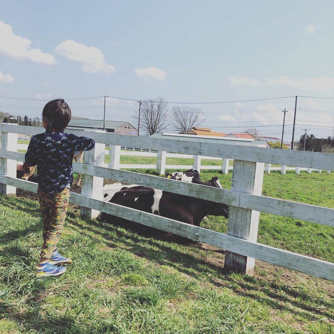SHEILAさんのインスタグラム写真 - (SHEILAInstagram)「マザー牧場に行ったのは、外出禁止令がでる前ですよ❗️ 早くまた行きたい💕💕 彼が私の大好きな牛を観に、子供達も一緒にマザー牧場に連れて行ってくました♡ 1ねんぶり。 お弁当は彼作❤️ 入り玉子は娘作❤️ 車椅子だったので、牛の写真は彼に頼みました。 風が強くて寒くて、馬は断念しました。 来年は自分で歩きたいな。 久しぶりで楽しかった🙏❤️❤️❤️」4月5日 0時32分 - sheichan16
