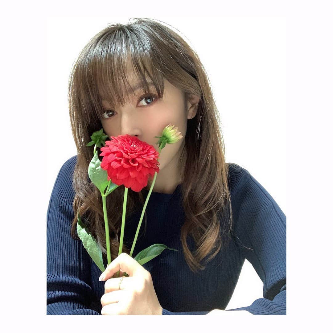 杜野まこさんのインスタグラム写真 - (杜野まこInstagram)「#花 #flower  このお花の名前&花言葉を知りたいのです♪ ↓ コメントで教えてもらいました‼️ ありがとうございます😆🙌スッキリした〜✨ #ダリア #赤 花言葉　 #華麗 因みに白は #感謝 黄色は #優美」4月5日 0時49分 - makomorino