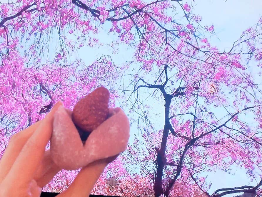 中川杏奈さんのインスタグラム写真 - (中川杏奈Instagram)「お花見🌸 おうちお花見🌸 ⚠️こちら全て去年の写真です😅  今年は桜の木の下でお花見や宴会ができませんが、私のようにおうちでのお花見はいかがでしょうか？ テレビにYouTubeで桜の映像を流し、買ってきた焼き鳥といちご大福を食べる😻 YouTubeで好きな映像を流すだけなので、好きな地域の桜を見れるし、昼間に夜桜も楽しめます🌸 最近暖かくなってきたので窓は開けて換気しつつ風を感じられればさらに外出気分✨✨ デパ地下の焼き鳥で一人お祭り気分😍 自分で好きなものを作ったり、お弁当を作ったり、コンビニのおつまみとお酒でもいい✨ 流行りのオンライン飲み会でもいい😻 家族がいたらホットプレートでお好み焼きやクレープパーティーもいい🏠 食べたいものデリバリーすれば家から一歩も出なくていい😻  おうちお花見おすすめです💖  #stayhome #stayathome  #stayhomeclub #staysafe  #桜　#sakura #sakura🌸  #cherryblossom  #花見 #お花見 #お花見日和  #おうち時間 #おうちじかん  #おうち遊び #一人遊び #stayathomechallenge  #prayfortheworld  #コロナに負けるな  #コロナウイルスが早く終息しますように  #covid #stopcoronavírus  #stopcovid19  #おうちにいよう  #おうちにいることがヒーロー  #愛のある1日を  #lovewins」4月5日 4時53分 - annanakagawa0228