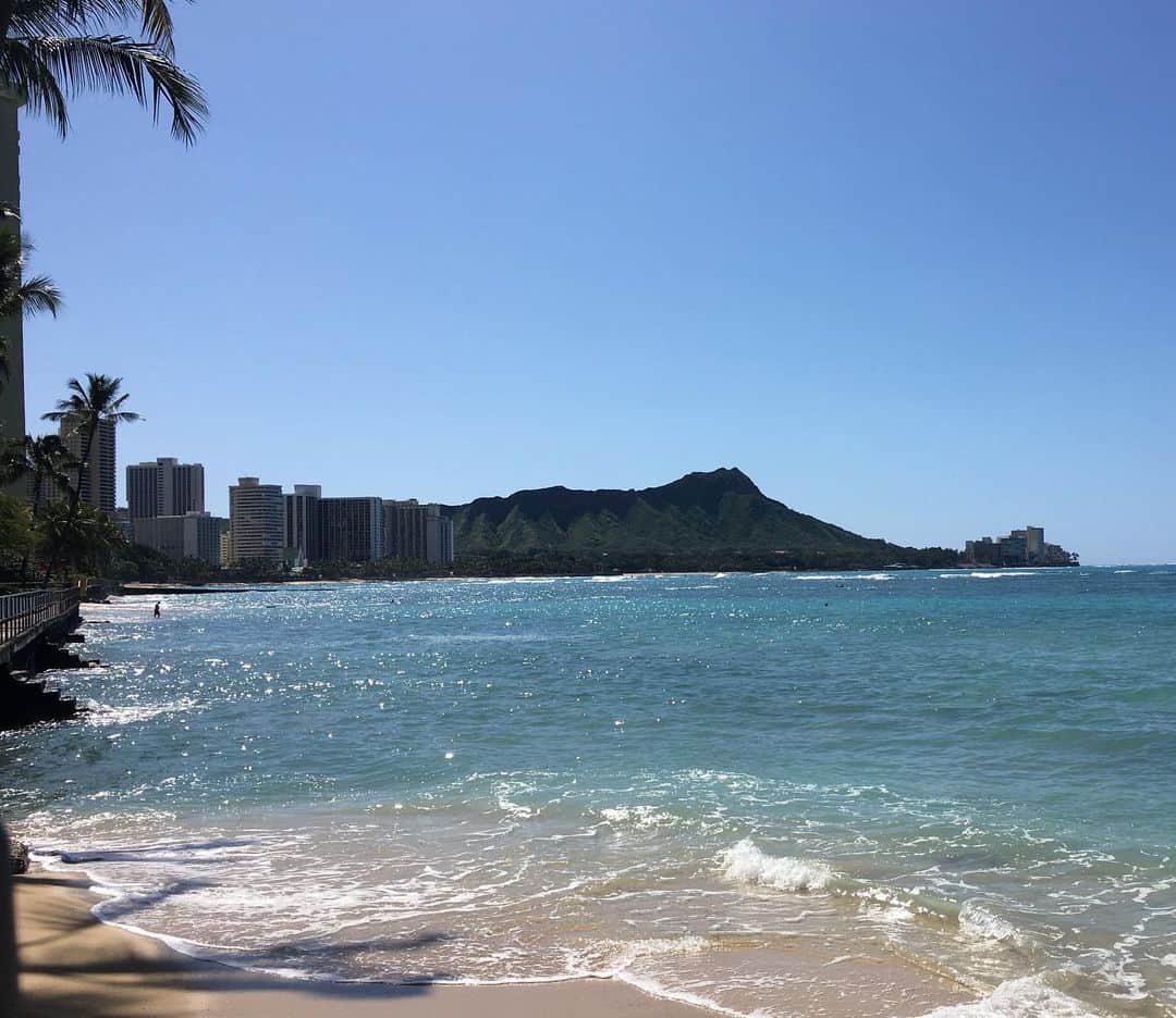 alohatable_waikikiさんのインスタグラム写真 - (alohatable_waikikiInstagram)「It’s a fine day today! テイクアウト日和。  #takeoutzetton #togozetton #ubereats #stayhome #stayhealthy #eattakeout  #zigu #alohasteakhouse #pleaseletusknowyourrequest #ゼットンハワイ #テイクアウト承ります　#リクエストお聞かせ下さい！#hawaii #waikikirestaurant #hawaiifoodie #hawaiigourmet  #curbside #curbsidepickup」4月5日 6時27分 - alohatable_waikiki