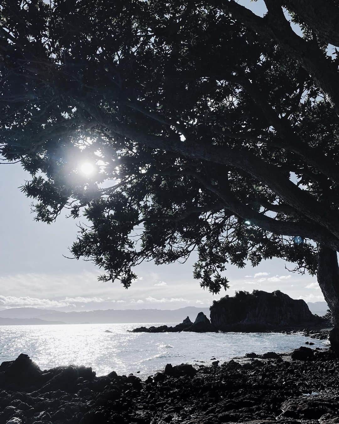 ギャランス・ドレのインスタグラム：「Sunday morning run and then home, home, home 🖤🖤🖤 I haven’t seen much of New Zealand but the little I’ve seen is really so beautiful!」