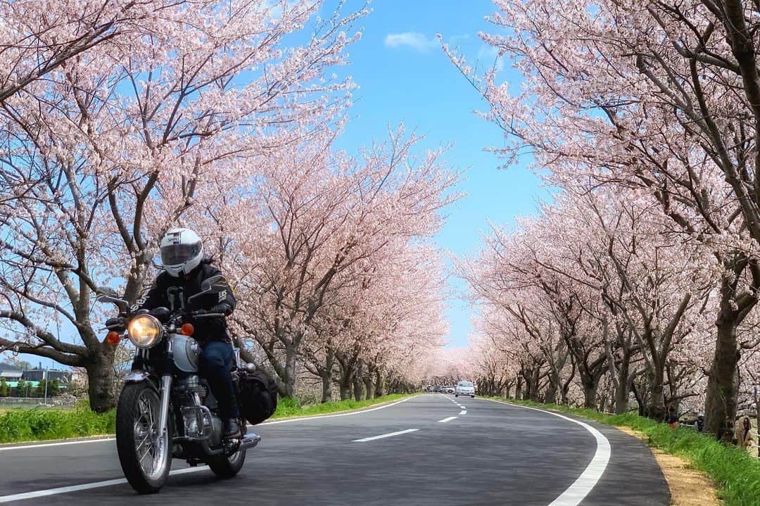 JAPANのインスタグラム