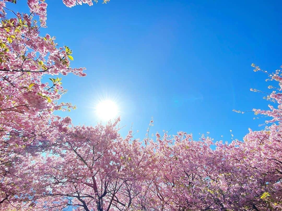 窪塚洋介のインスタグラム：「Because there're less people out, the water is getting clearer and fish and swans are coming back, and the air quality is improving. Someone said "Corona was the vaccine and we are the virus" - such a great remark.. A crisis can be an opportunity! An opportunity we've never had before! All is grist that comes to his mill!! Let's take this as a chance to make the world a better place!!! Photo by Mika Ninagawa」