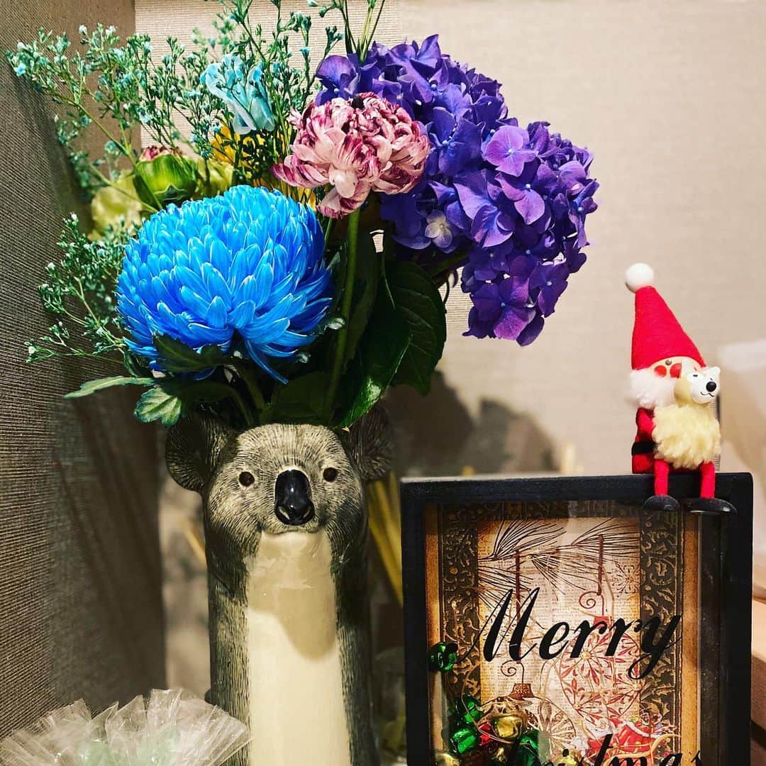 のインスタグラム：「ひょっこり🌷  コアラの花瓶にお花🐨 💐⇨ @naoten10  thank you👏  #stayhome  #頑張りましょう #みんなで」