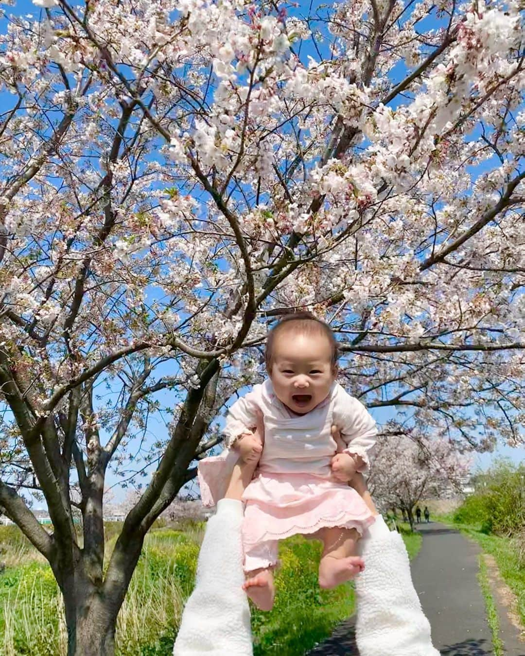 桜井未来さんのインスタグラム写真 - (桜井未来Instagram)「キャハハハ😆 ・ ・ ・  #女の子ママ #ママ #baby #ママ友募集 #赤ちゃんのいる生活 #ママサークル #ママイベント #ママ会 #都内ママ #ベビスタグラム #mamagirl #ベビフル #コドモダカラ #コドモノ #ママリ #親バカ部 #新米ママ東京部 #ベビモ #花見 #桜 #お花見 #さくら #sakura」4月5日 17時35分 - miki.sakurai0214