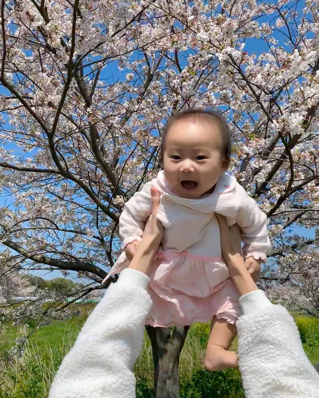 桜井未来さんのインスタグラム写真 - (桜井未来Instagram)「キャハハハ😆 ・ ・ ・  #女の子ママ #ママ #baby #ママ友募集 #赤ちゃんのいる生活 #ママサークル #ママイベント #ママ会 #都内ママ #ベビスタグラム #mamagirl #ベビフル #コドモダカラ #コドモノ #ママリ #親バカ部 #新米ママ東京部 #ベビモ #花見 #桜 #お花見 #さくら #sakura」4月5日 17時35分 - miki.sakurai0214