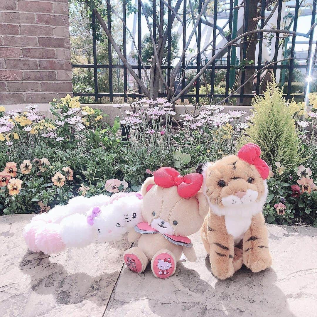 原かれんさんのインスタグラム写真 - (原かれんInstagram)「᯽ Hello Kitty ちゃんのおともだち . . ❥﻿タイニーチャム ©︎ ❥﻿タイガーキティ ©︎ . 前回のpostに沢山質問ありがとう♡ 早くあいにいきたいな . . . エアーUSJ . . . 行った気分に♡♡♡ . みんなで頑張ろう . . . . #hellokitty #キティちゃん  #タイガーキティ #タイニーチャム #原かれん #usjぴろぴろバウンド #nmb48  #ユニバ #usj #usjファン  #universalstudiosjapan #usjの住民 #instagood #osaka  #ユニバーサルスタジオジャパン #love  #유니버셜스튜디오재팬 #usjお土産  #ピンク加工 #오사카 #followｍe  #ユニバカチューシャ #usj好きな人と繋がりたい #ユニバ映え #kawaii #gogousj #エアーユニバ #エアーusj」4月5日 10時11分 - karen_hara315