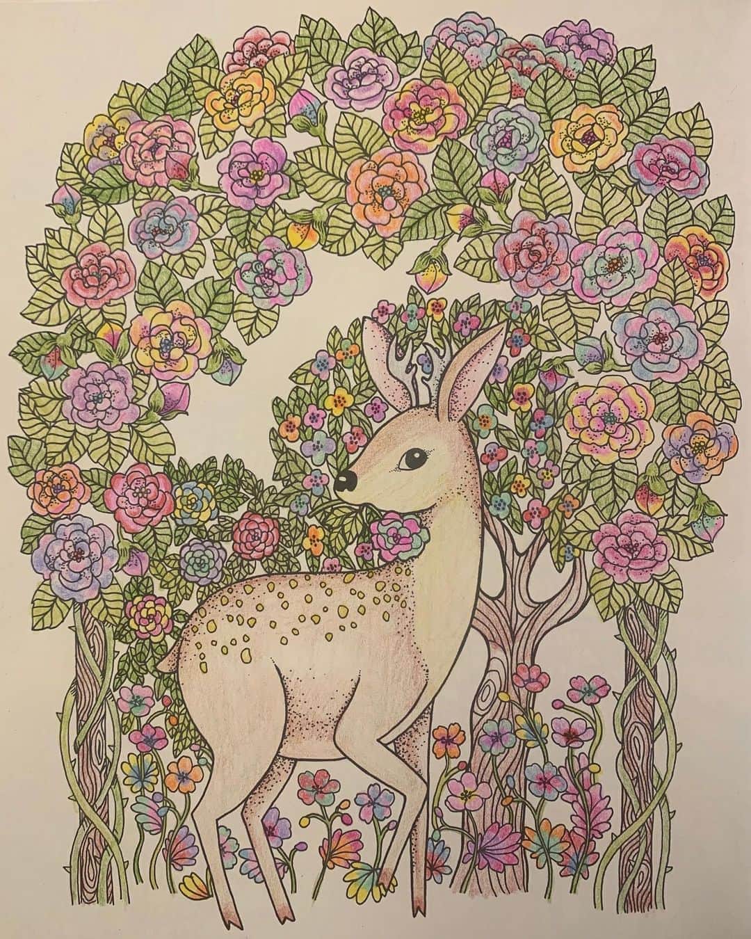 大人の塗り絵のinstagram 大人の塗り絵インスタグラム ハッシュタグ