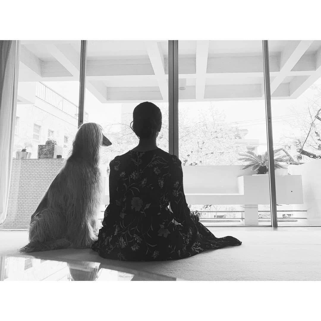 のインスタグラム：「Meditation🕊🕊🕊 #Newworld #compassion #love #earth」