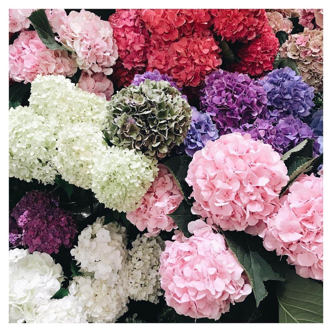 Olivia Burtonさんのインスタグラム写真 - (Olivia BurtonInstagram)「We got quite a few requests for our flower photos to be made available as wallpapers (turns out you guys love flowers just as much as we do) these have now been pinned to our highlights - keep your wallpaper requests coming ⬇️🌸💗 #MyOliviaBurton #Wallpapers #FlowerLovers」4月5日 18時07分 - oliviaburtonlondon