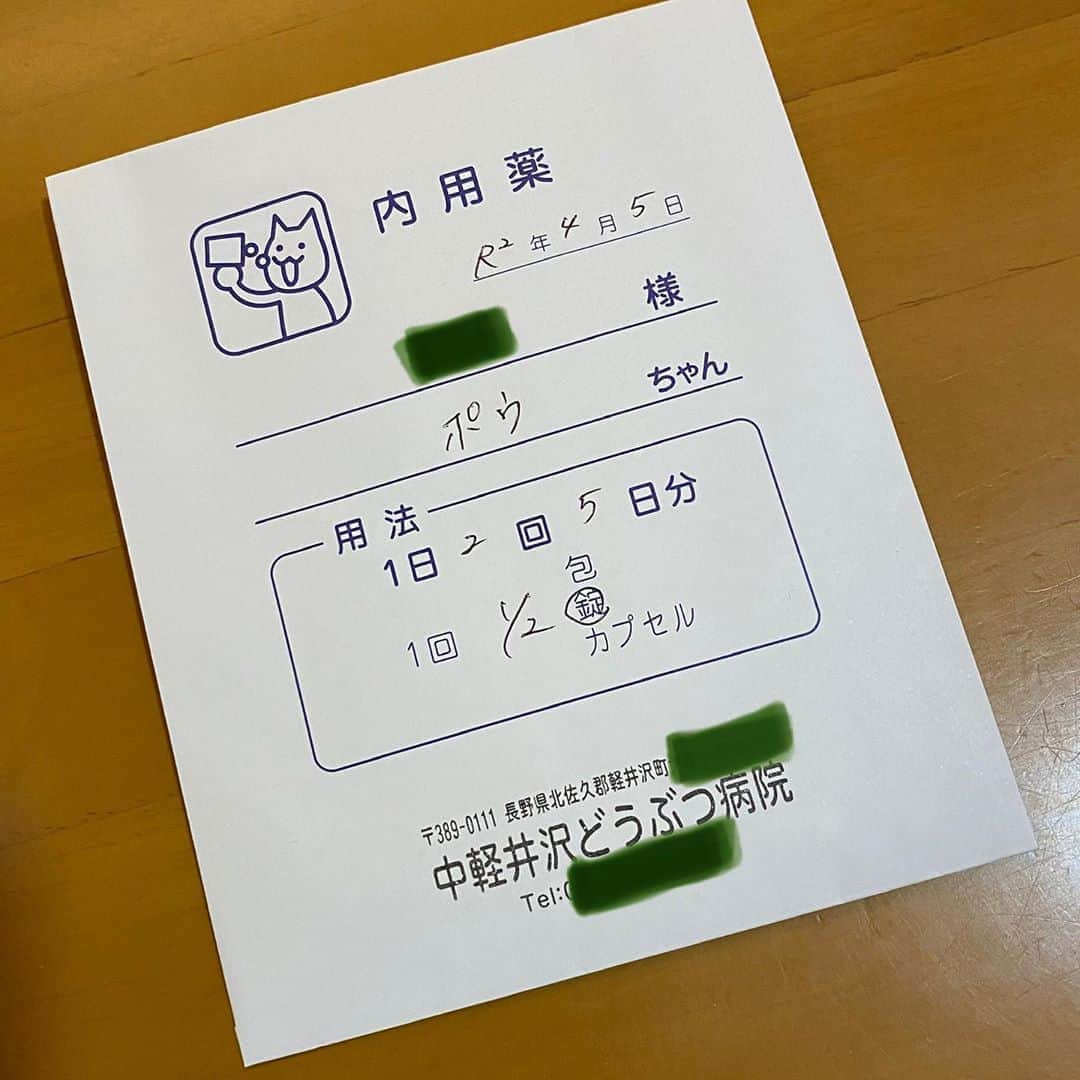 野間美由紀のインスタグラム：「ポウがちょっと調子悪くて動物病院に連れて行きました。嘔吐があるんですが、血液検査もレントゲンも異常なし。脱水がちょっとあるので点滴してもらって吐き気止めをもらいました。 薬袋の猫の絵が可愛いです。」