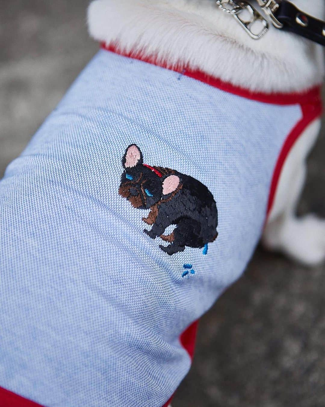 PELIさんのインスタグラム写真 - (PELIInstagram)「🧸犬服PEGIONより🧸 刺繍にすごくこだわりました！ フレブルの無防備で愛らしい“POOPING”刺繍を施した「FRENCH BULLDOG LIFE」コラボアイテムに犬服がPEGION限定で登場👀✨ PEGION ONLINE STOREにて販売スタートしました。 4匹のオールスターは @french.bulldog.life  さんの限定🎈 オーナー用のロンTやウエストバッグ、ポーチも販売中です。お揃いを楽しめます🐕✨ Model @h.gf  @co_ma_ru  Photographer @take_hayakawa 🎈🎈 . . #pegion #pegion_dog #hainu #dog #dogs #限定 #コラボ #dogwear #dogclothes  #frenchbulldoglife #BUHI #frenchbulldog #frenchie #FBL #フレブルライフ #フレンチブルドッグ #フレブル #フレンチブル #ブヒ #フレンピー」4月5日 13時13分 - peli4649