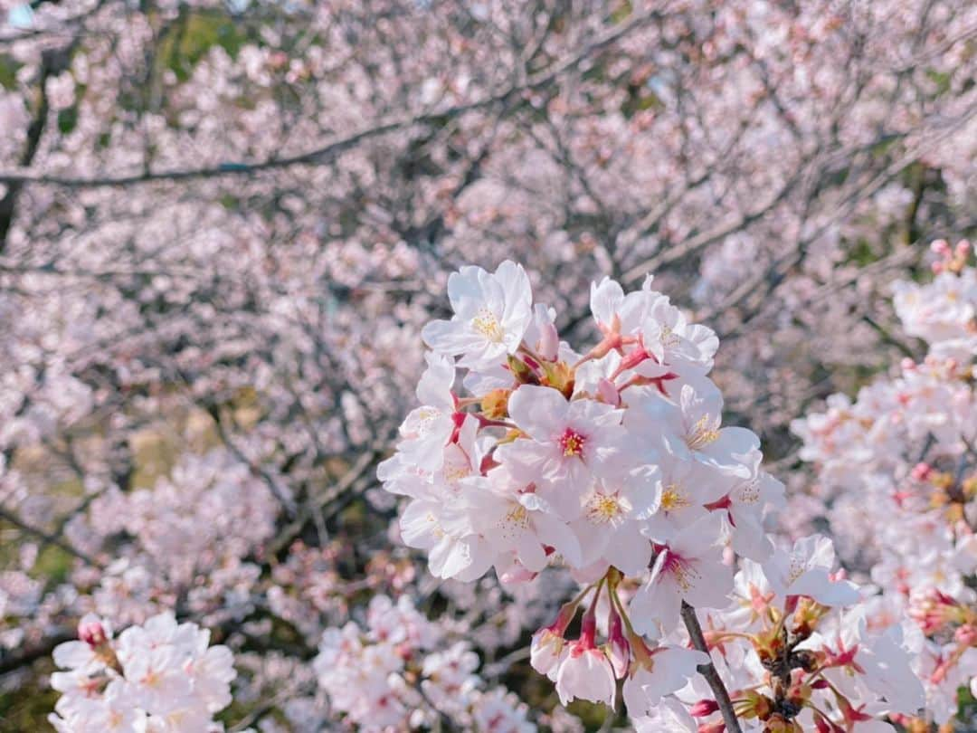 天間晴香のインスタグラム