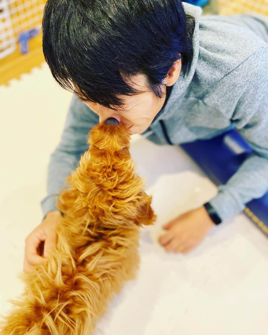 中村憲剛さんのインスタグラム写真 - (中村憲剛Instagram)「ストレッチwith🐶  #おうち時間 #家にいよう」4月5日 14時02分 - kengo19801031