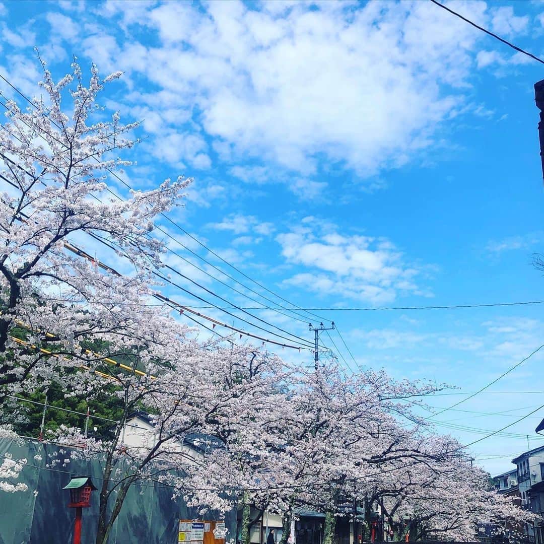 ひうらさとるさんのインスタグラム写真 - (ひうらさとるInstagram)「家から桜が見れる環境を今年ほど感謝した年はありません。 少しでもお裾分けプレゼントさせて下さいねー。 きつい気持ちの時はお家から、外や空を見て乗り切りましょうー。 #cherryblossom  #socialdistancing  #stayathome」4月5日 14時15分 - marikosatoru