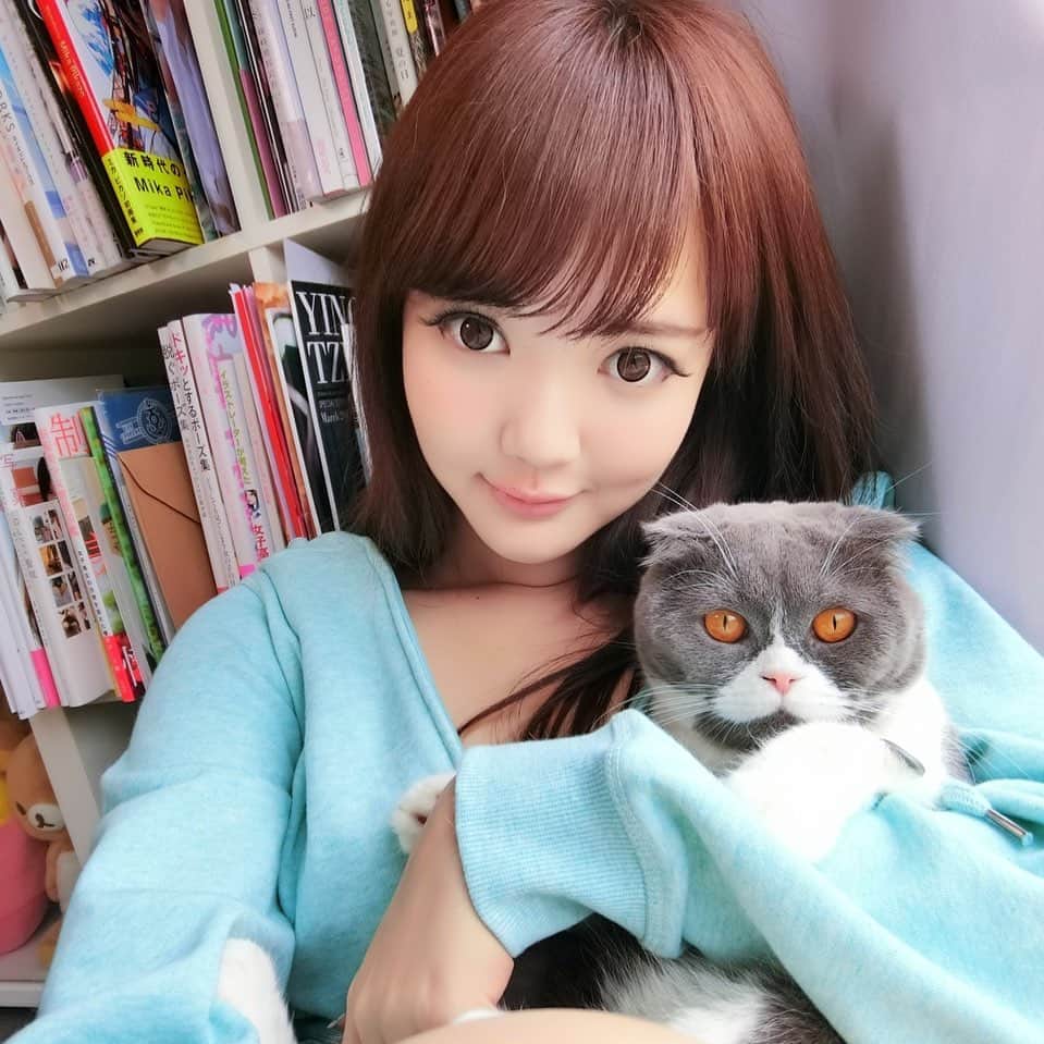 YingTzeさんのインスタグラム写真 - (YingTzeInstagram)「Today photoshoot with my son , Earl Grey . ❤️👋🏻 ( also filmed my ASMR Makan Video for celebrating 150 Supporters on Facebook ! ) _ Today is another productive day ~~ always wanted to do another photoshoot with my cats after they grow up a bit more. Sadly only Lancelot likes to photoshoot hahahahha 🤣 _ Tonight I’ll be streaming PUBG Mobile at 8.30pm. Viewers game after 10.30 pm. See you later ! ❤️🐱 _ #blessed #catsmalaysia #catsmakemehappy #scottishfold #scottishfoldlovers」4月5日 15時52分 - yingtze