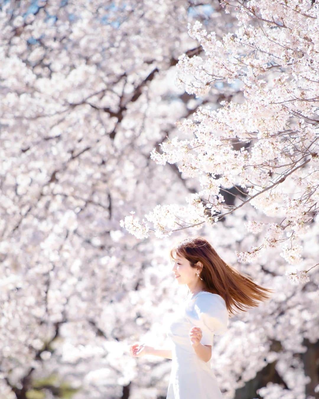 のインスタグラム：「‪🌸‬ ． 先月、自粛前にタイミング良く撮ってもらった桜と。 桜好き🌸 ． ‪Photo by TAKU WATANABE‬ . ． #桜」