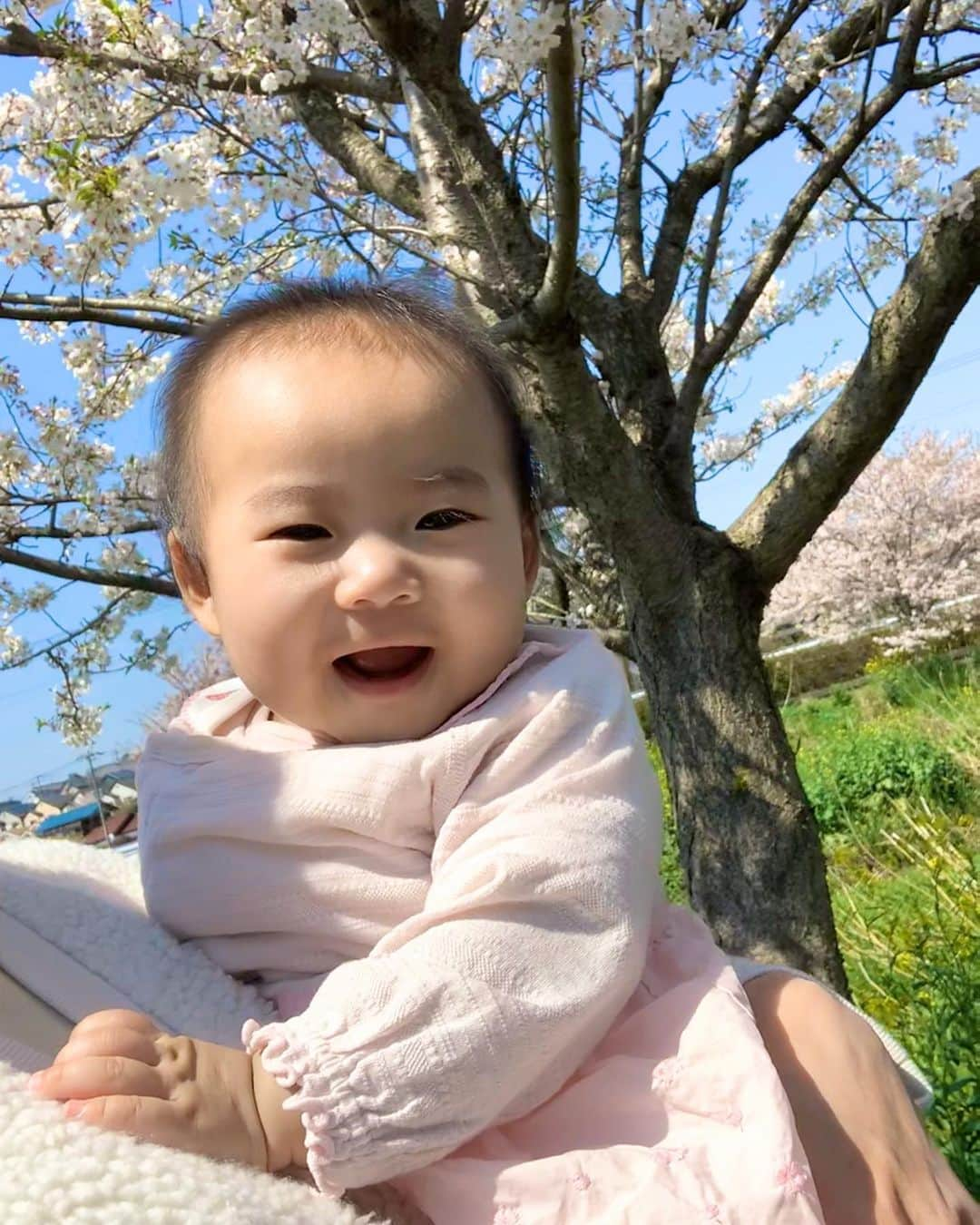 桜井未来さんのインスタグラム写真 - (桜井未来Instagram)「千葉の田舎の方まで桜🌸を見に行って来ました😊！ 日光浴がてら、誰も居ない川沿いの桜並木をお散歩☀️ たまーに犬を連れてお散歩してる人とすれ違うくらいで、最高に長閑な場所でした🕊🍃 こんな時でも、小さな幸せを... ・ ・ ・  #女の子ママ #ママ #baby #ママ友募集 #赤ちゃんのいる生活 #ママサークル #ママイベント #ママ会 #都内ママ #ベビスタグラム #mamagirl #ベビフル #コドモダカラ #コドモノ #ママリ #親バカ部 #新米ママ東京部 #ベビモ　#桜 #花見 #散歩」4月5日 16時13分 - miki.sakurai0214