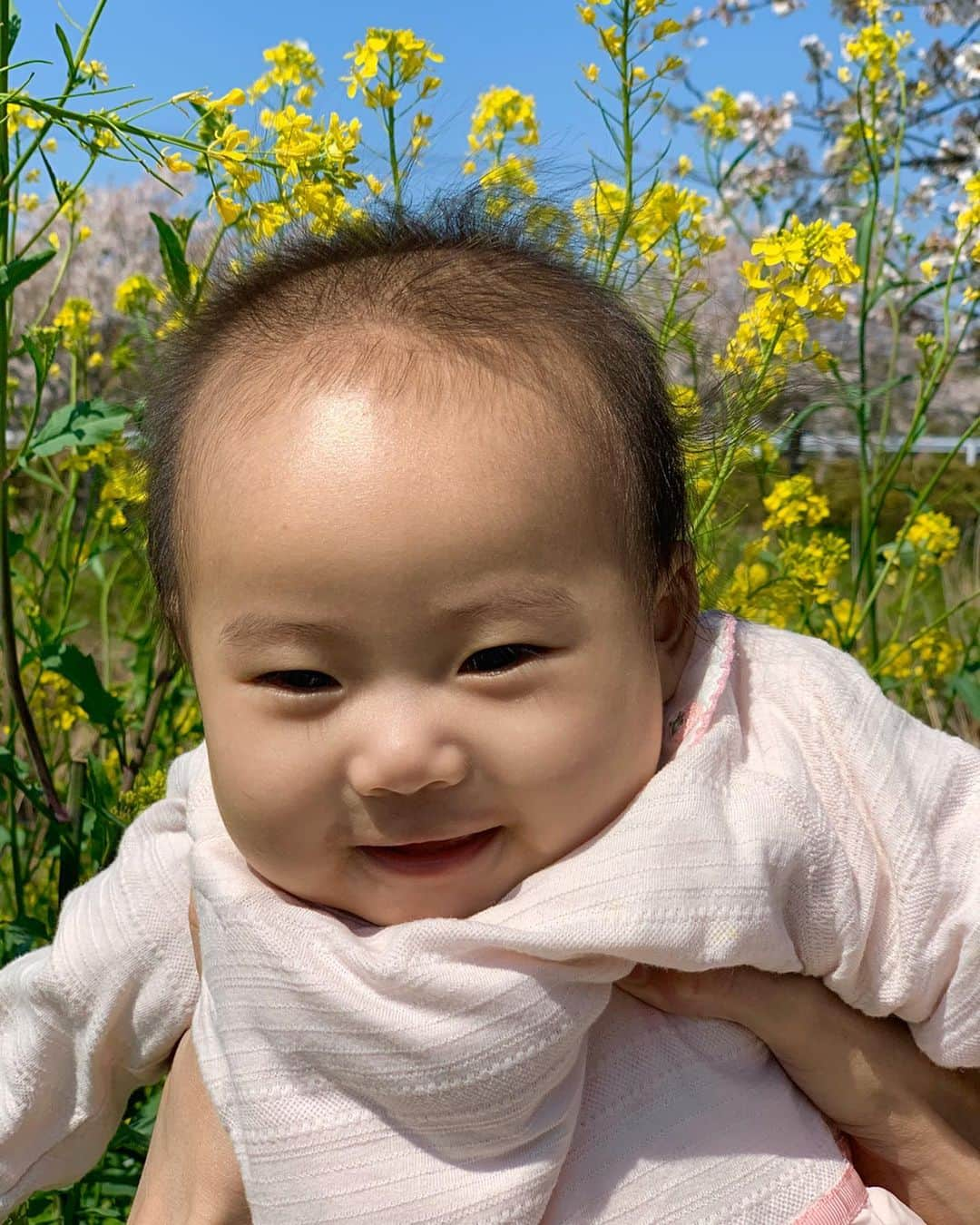 桜井未来さんのインスタグラム写真 - (桜井未来Instagram)「菜の花🌼 青空とのコントラストがとっても綺麗✨ 春🌸ですね😊💓 @yuurimorishita ちゃんに頂いたピンクのロンパースもあっと言う間にピッタリに😘！ なんて可愛いのでしょう（笑） ・ ・ ・  #女の子ママ #ママ #baby #ママ友募集 #赤ちゃんのいる生活 #ママサークル #ママイベント #ママ会 #都内ママ #ベビスタグラム #mamagirl #ベビフル #コドモダカラ #コドモノ #ママリ #親バカ部 #新米ママ東京部 #ベビモ」4月5日 16時16分 - miki.sakurai0214