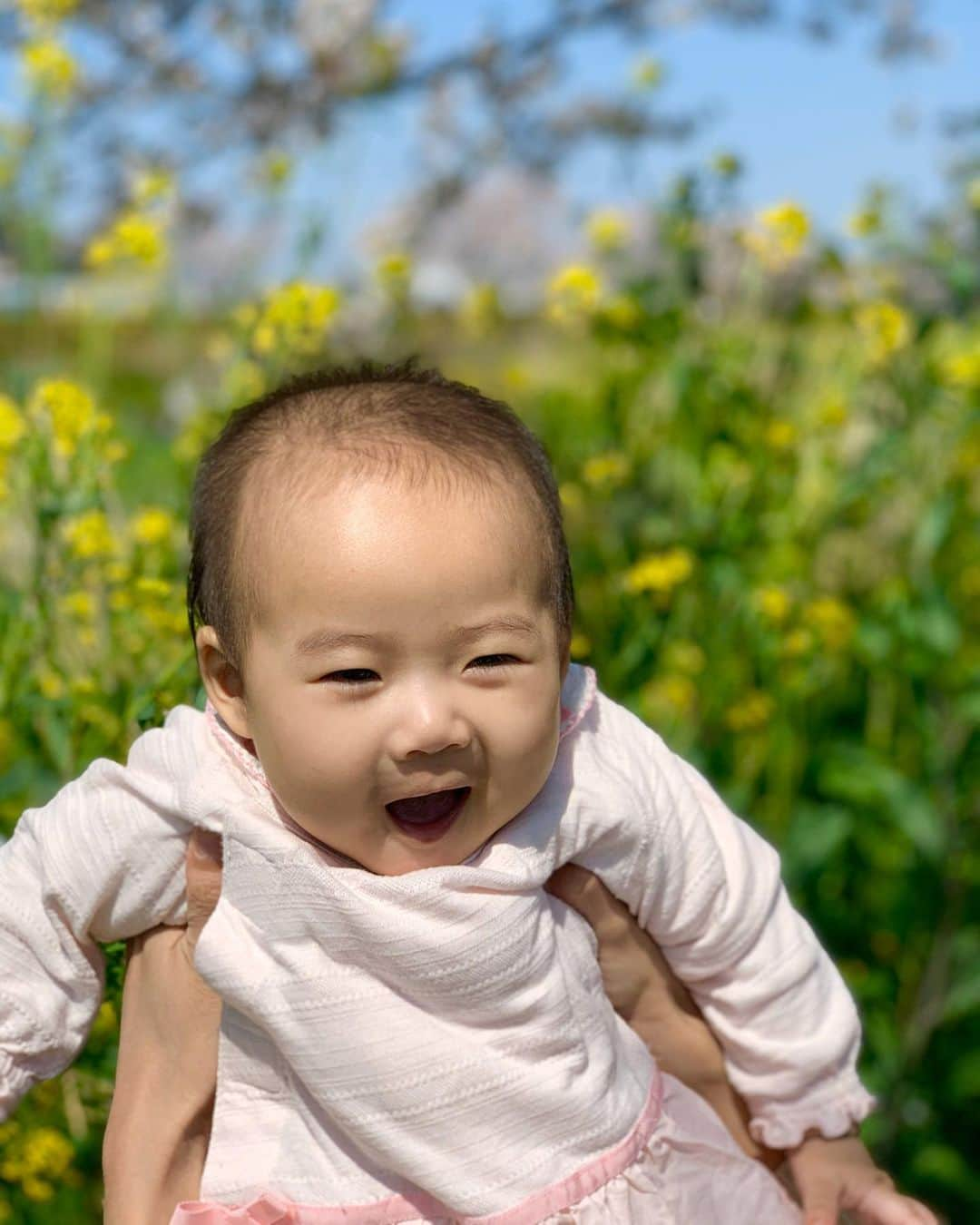 桜井未来さんのインスタグラム写真 - (桜井未来Instagram)「菜の花🌼 青空とのコントラストがとっても綺麗✨ 春🌸ですね😊💓 @yuurimorishita ちゃんに頂いたピンクのロンパースもあっと言う間にピッタリに😘！ なんて可愛いのでしょう（笑） ・ ・ ・  #女の子ママ #ママ #baby #ママ友募集 #赤ちゃんのいる生活 #ママサークル #ママイベント #ママ会 #都内ママ #ベビスタグラム #mamagirl #ベビフル #コドモダカラ #コドモノ #ママリ #親バカ部 #新米ママ東京部 #ベビモ」4月5日 16時16分 - miki.sakurai0214