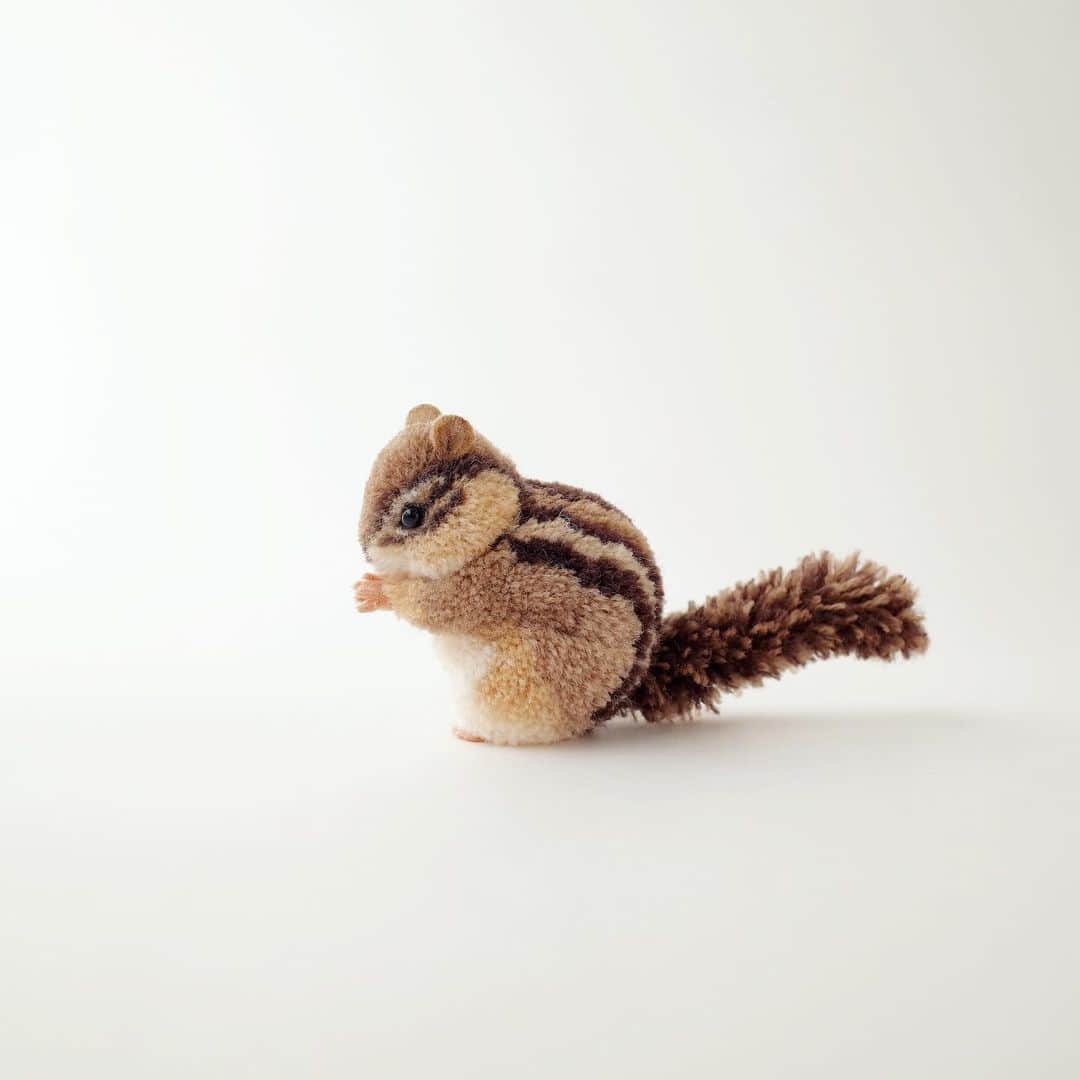 黒田翼（動物ぽんぽん）のインスタグラム：「. お祈りす。 . Praying. . #praying #trikotri #pompom #trikotripompom #chipmunk #squirrel #chipmunk」
