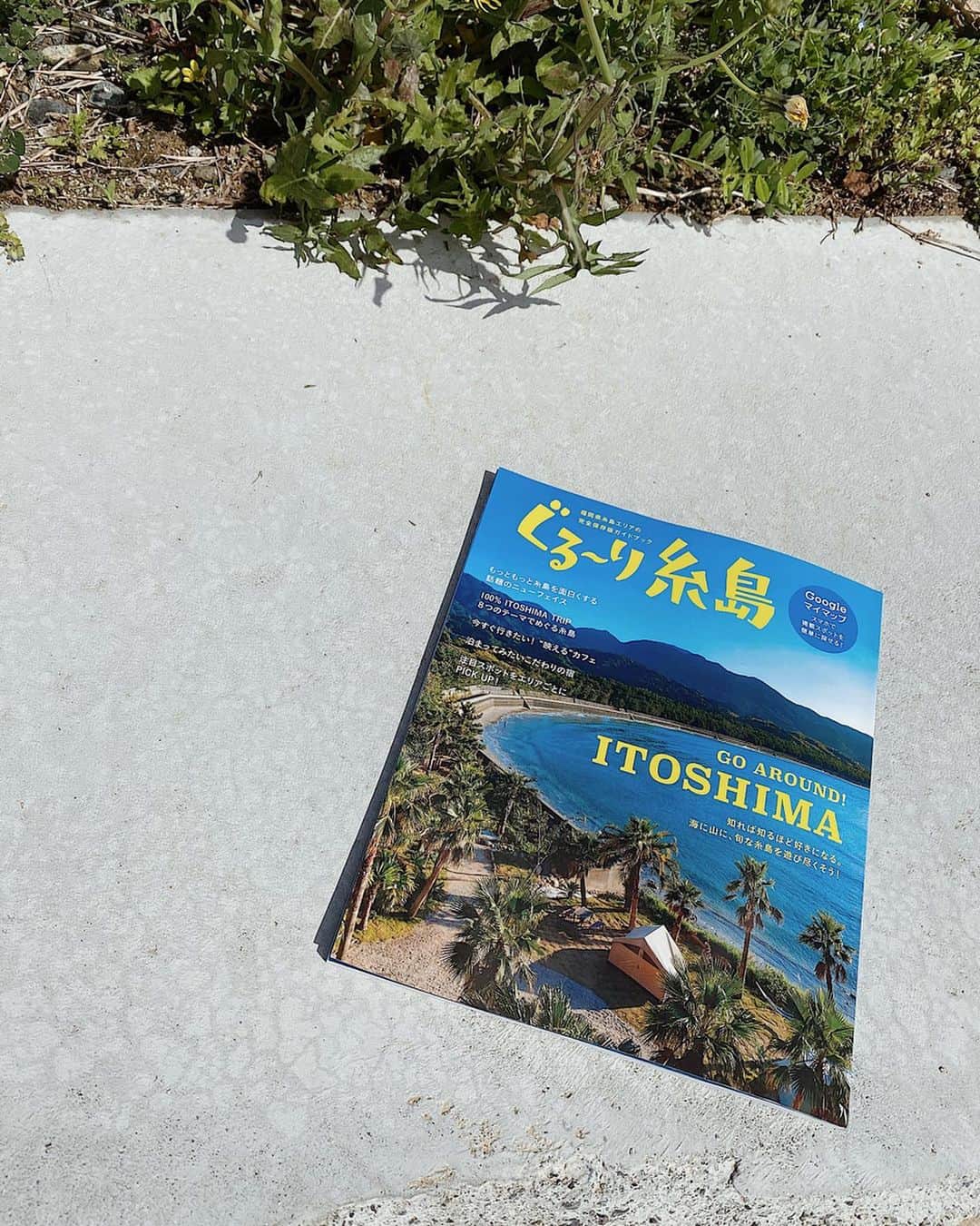 森山菜々のインスタグラム：「ガイドブック"ぐる〜り糸島"に @laulea_shrimp_fukuoka が 掲載されています🦐☀️﻿ (なぜか私も小さく載っている.....🧍🏼‍♀️)﻿ ﻿ お店の周りにもたくさんステキなお店さんもあるし﻿ 今の現状が落ち着いて、安心して、 外にでる機会が多くなったら﻿ みんなに来てほしいな🍃🤍🤍 #itoshima #lauleashrimp  #ラウレアシュリンプ」