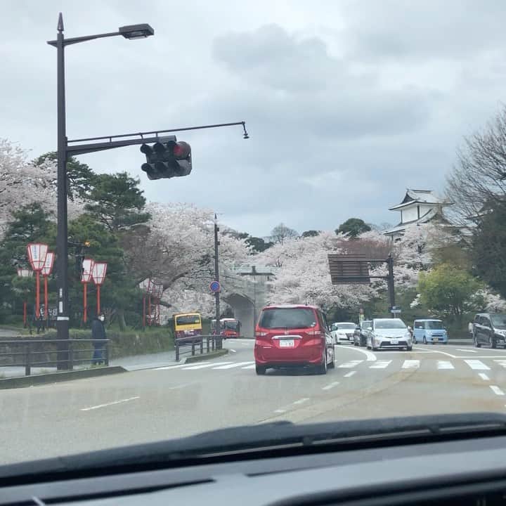 南早苗のグルメインスタ