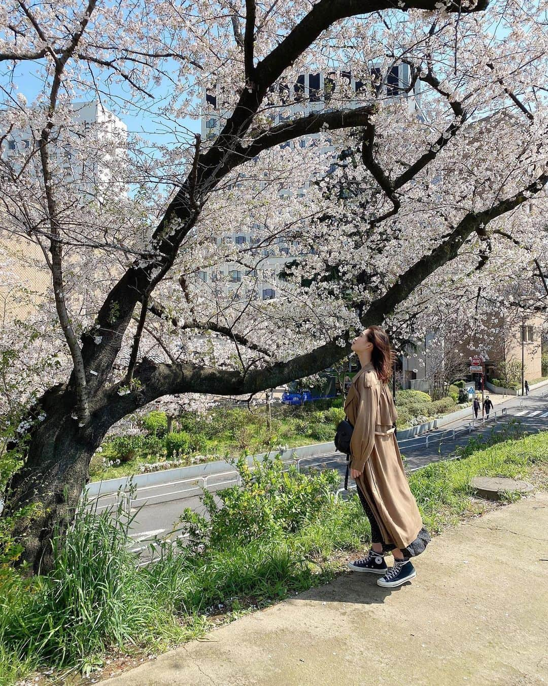 谷川りさこさんのインスタグラム写真 - (谷川りさこInstagram)「買い出しの帰り道桜を見れました🌸  #春が来た#桜#みんなで未来を#明日はきっといい日になる」4月5日 19時35分 - risakoko