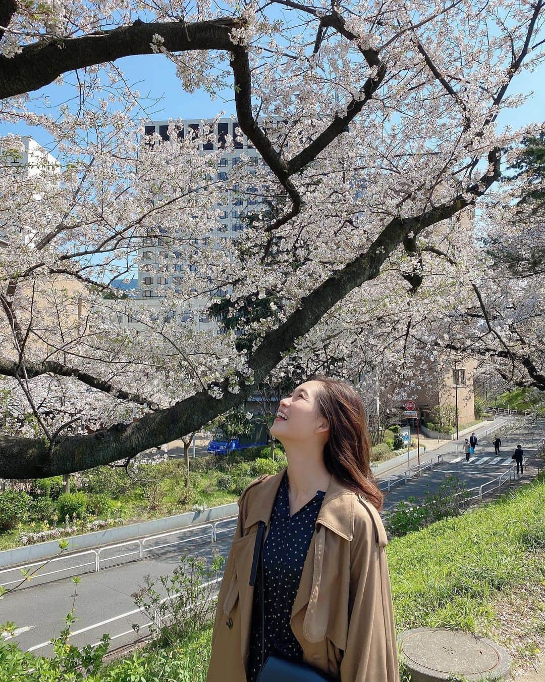 谷川りさこさんのインスタグラム写真 - (谷川りさこInstagram)「買い出しの帰り道桜を見れました🌸  #春が来た#桜#みんなで未来を#明日はきっといい日になる」4月5日 19時35分 - risakoko
