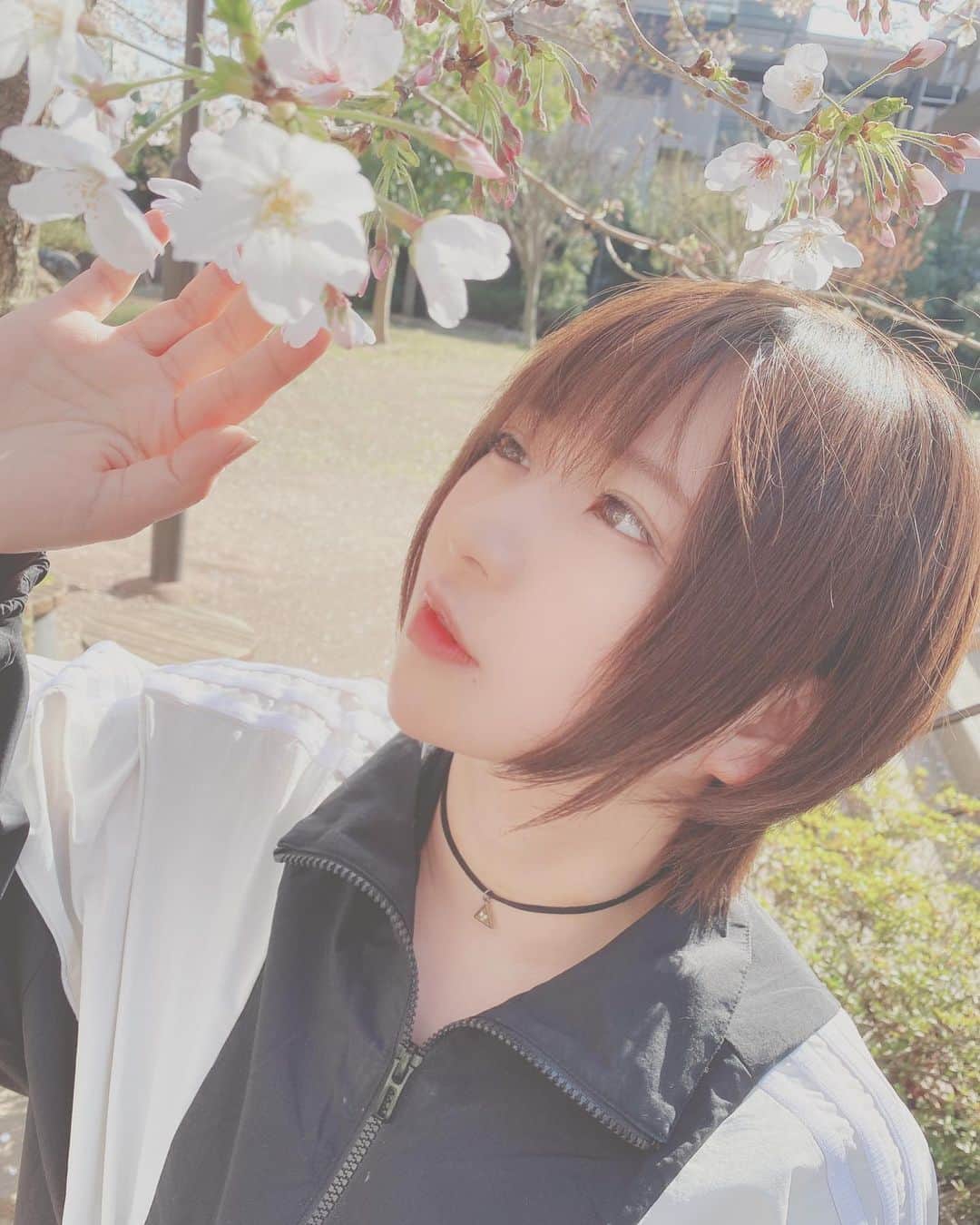 あゆみのインスタグラム：「春はくる #あゆくま#あゆみくりかまき #桜」