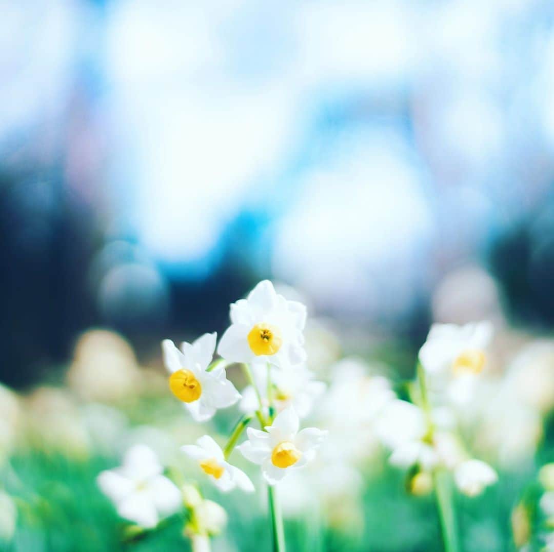 sorayuchiのインスタグラム：「・ お家でゆっくりする時𓅰 ・ 今日は日常バタバタしてしまう、アイロン掛けや、毛玉とり、衣替えなどお洋服のメンテナンスがゆっくりできてゆとりある時間を有意義に使えました◎」