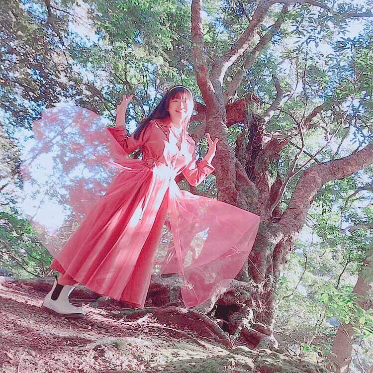 吉田万葉のインスタグラム：「3月のはじめ頃の写真🎞 森が恋しくなったので、あげますね〜🌳🧚‍♂️🌲🌳 まよのシルエットとお楽しみください💝」